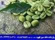 واردات دانه سبز قهوه